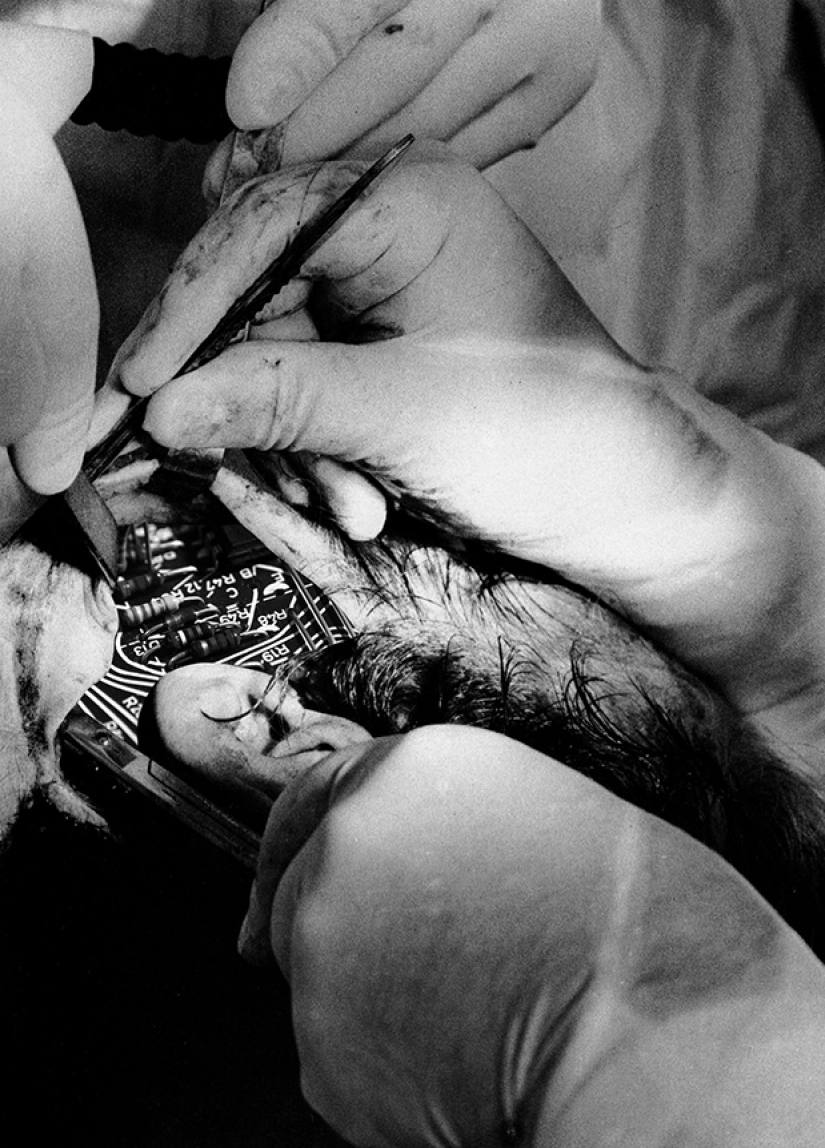 Fobias raras traídas a la vida en una serie de collages siniestros