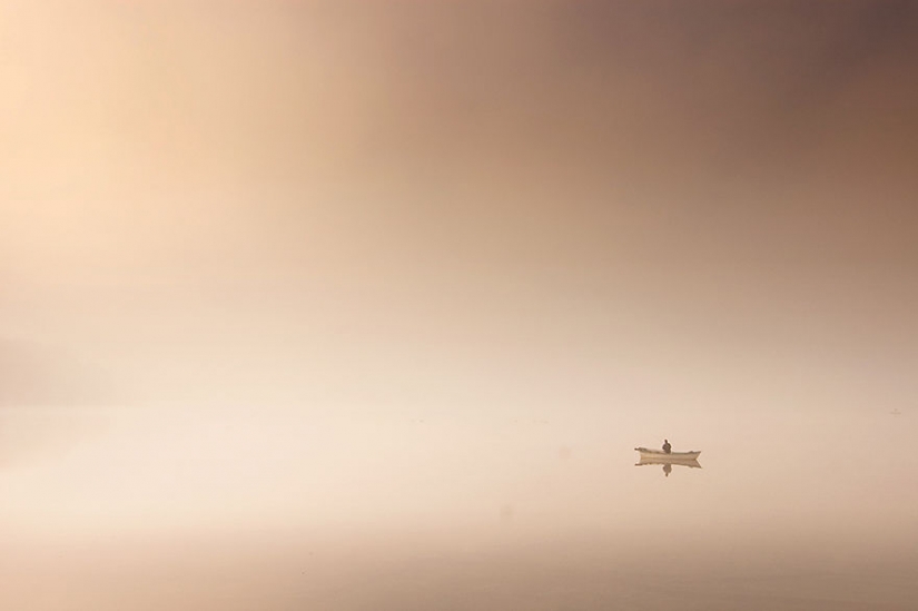 Foggy life on the lake