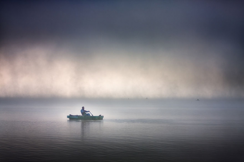 Foggy life on the lake