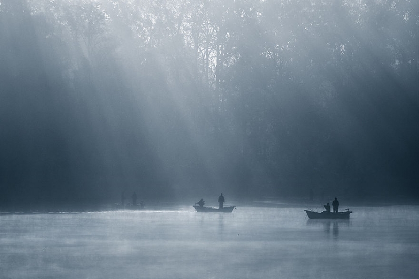 Foggy life on the lake