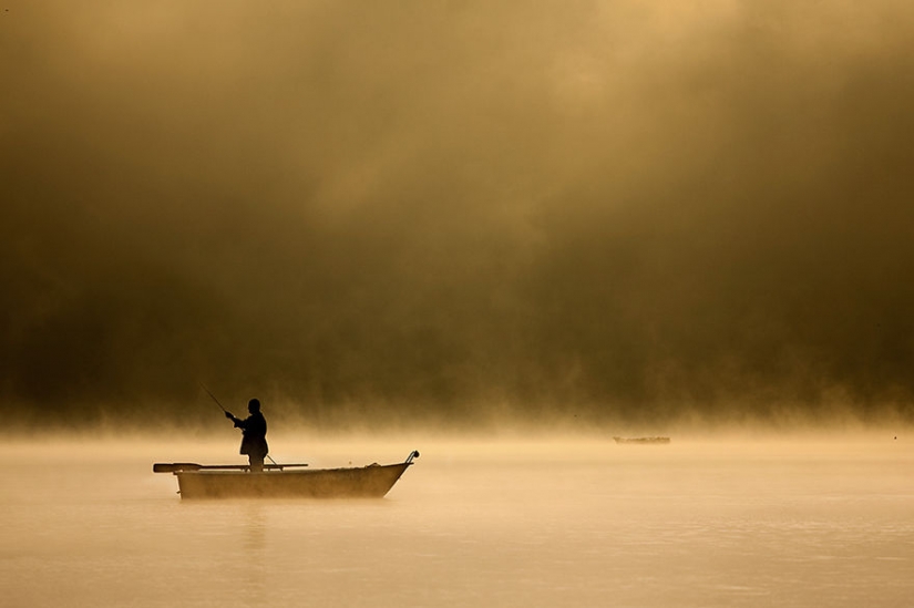 Foggy life on the lake
