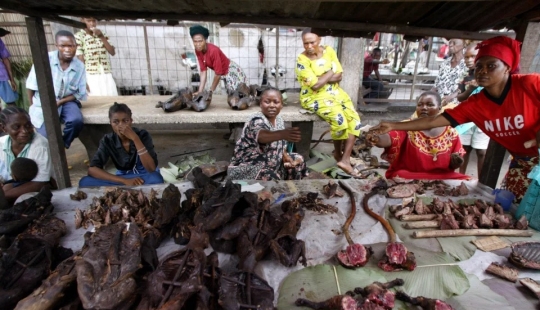 Folk medicines of exotic animals can cause a pandemic worse than Covid-19 Folk medicines of exotic animals can cause a pandemic worse than Covid-19