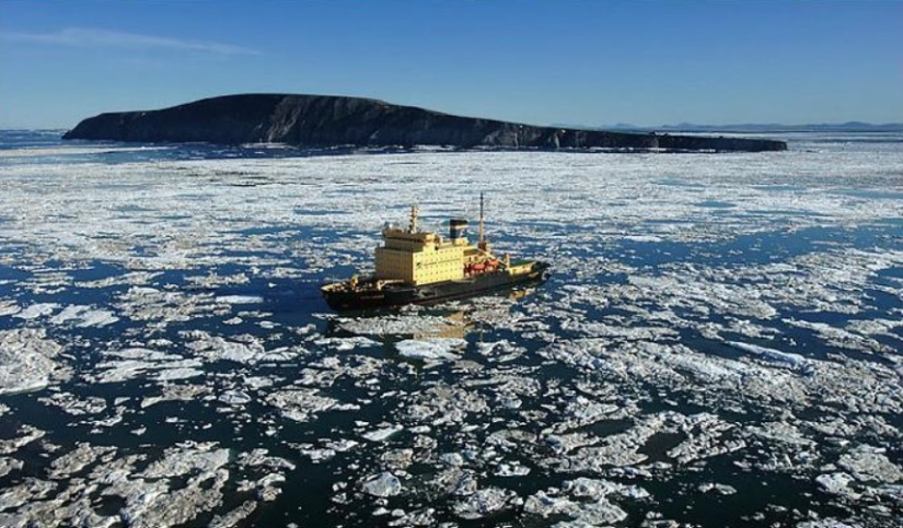 Fotógrafo desesperado se llevó osos polares, guardianes de una estación polar abandonada