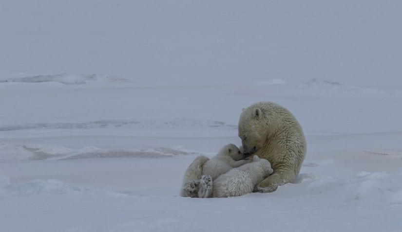 Fotógrafos de todo el mundo muestran lo que significa el amor