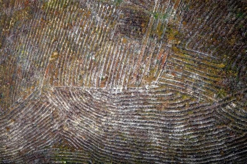 Fotografías aéreas de Kasper Kowalski