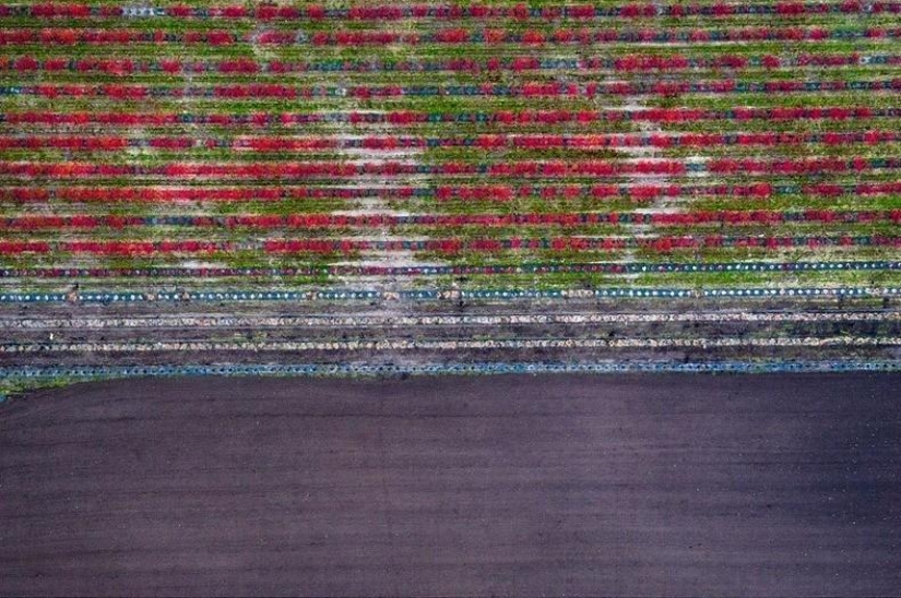 Fotografías aéreas de Kasper Kowalski