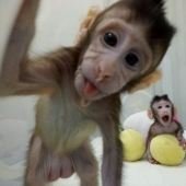 Fotos del año: animales Fotos del año: animales