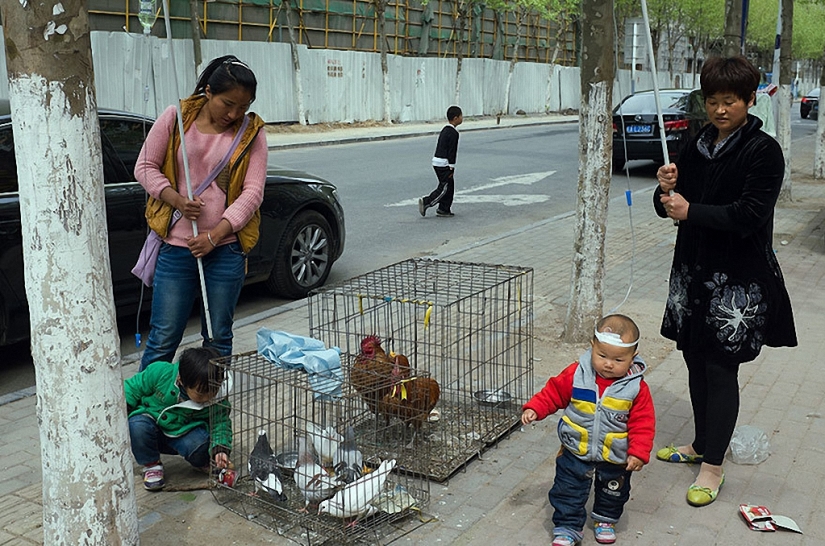 Fotos divertidas de la calle de China