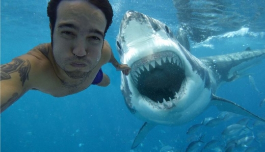 Fotos mortales: En seis años, 259 personas han muerto tratando de tomar una hermosa selfie Fotos mortales: En seis años, 259 personas han muerto tratando de tomar una hermosa selfie