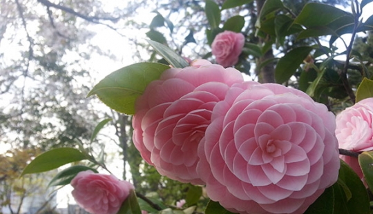 Fotos perfectas que harán las delicias de cualquier perfeccionista Fotos perfectas que harán las delicias de cualquier perfeccionista