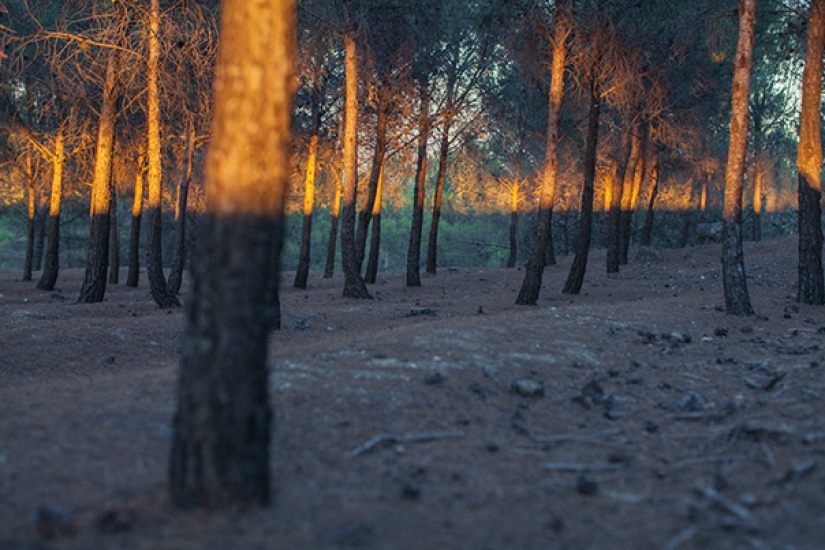 Fotos perfectas que harán las delicias de cualquier perfeccionista