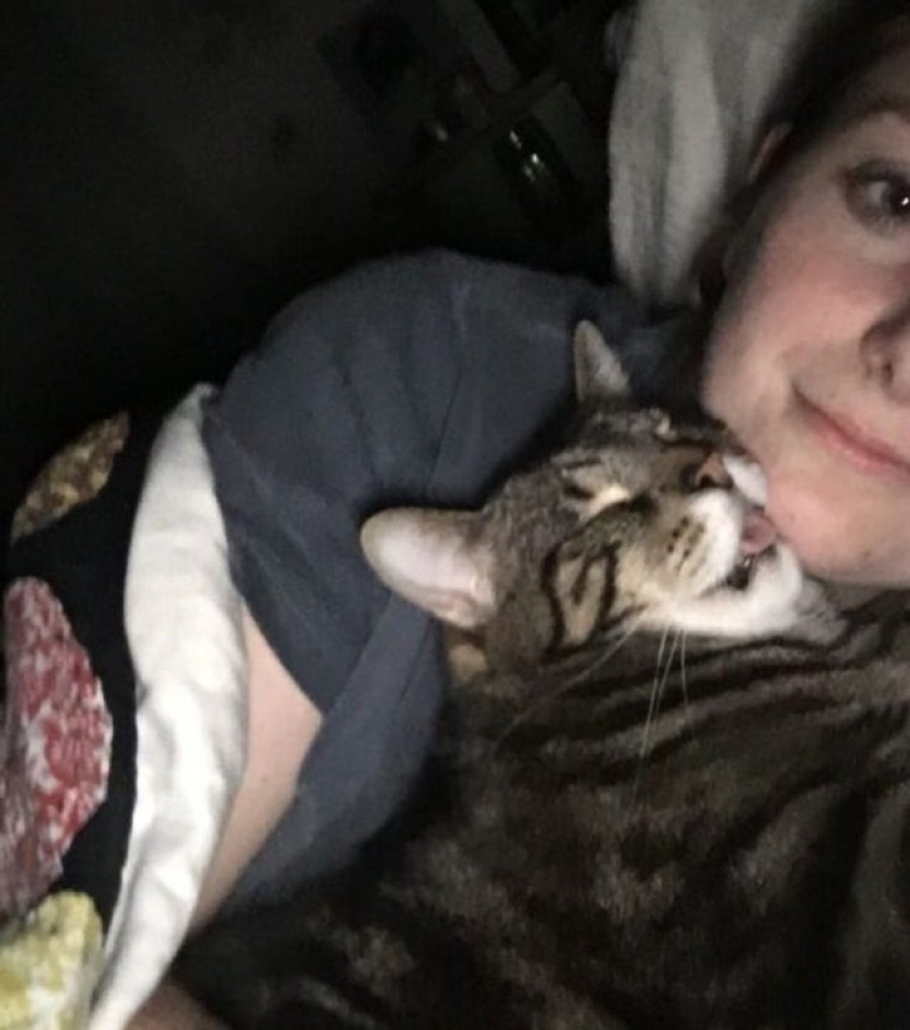 10 fotos que demuestran que los amigos esponjosos pueden mejorar cualquier día miserable 10 fotos que demuestran que los amigos esponjosos pueden mejorar cualquier día miserable