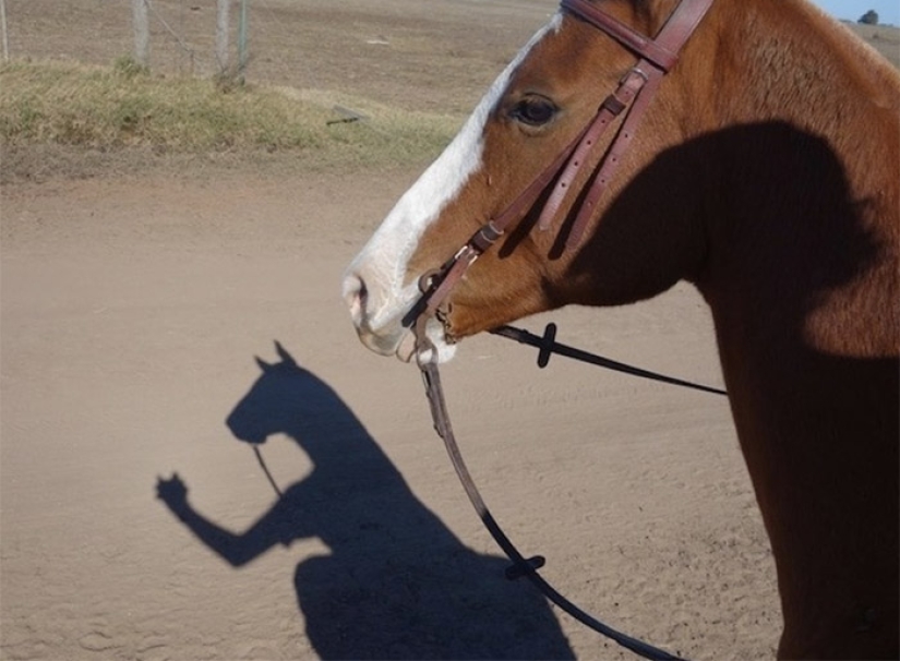 Fotos que llevarán tu mente más allá de la razón