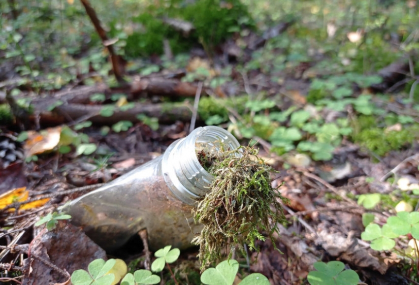 Fotos reveladoras muestran cómo los desechos plásticos están contaminando nuestro planeta