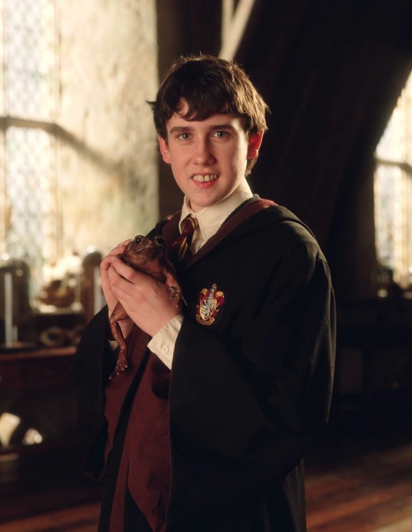 From prison to shooting in Playboy: what was the fate of the child actors who played in the Harry Potter films