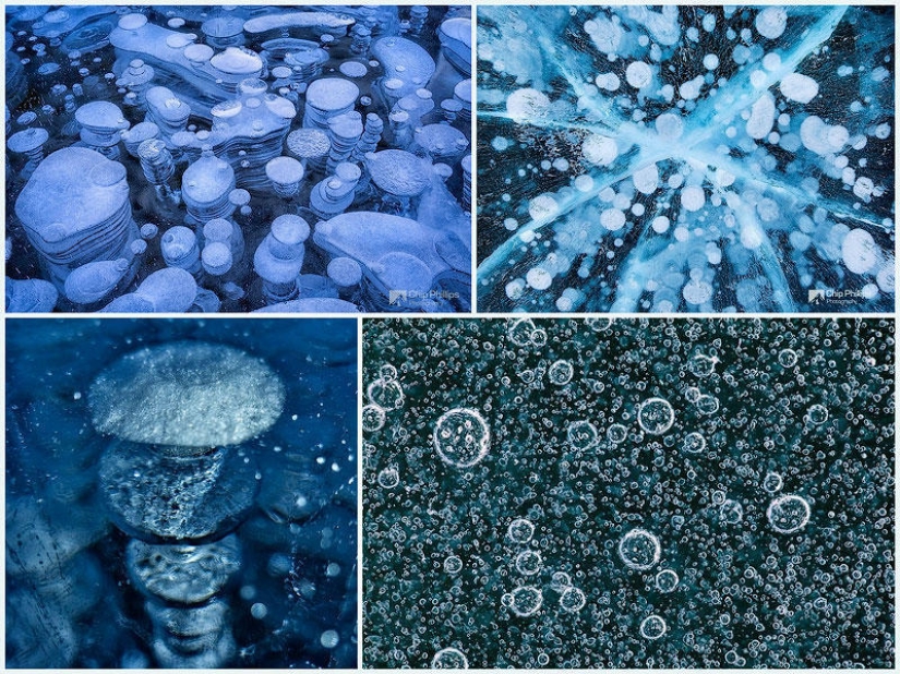 Frozen air bubbles in the lake