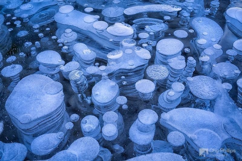 Frozen air bubbles in the lake