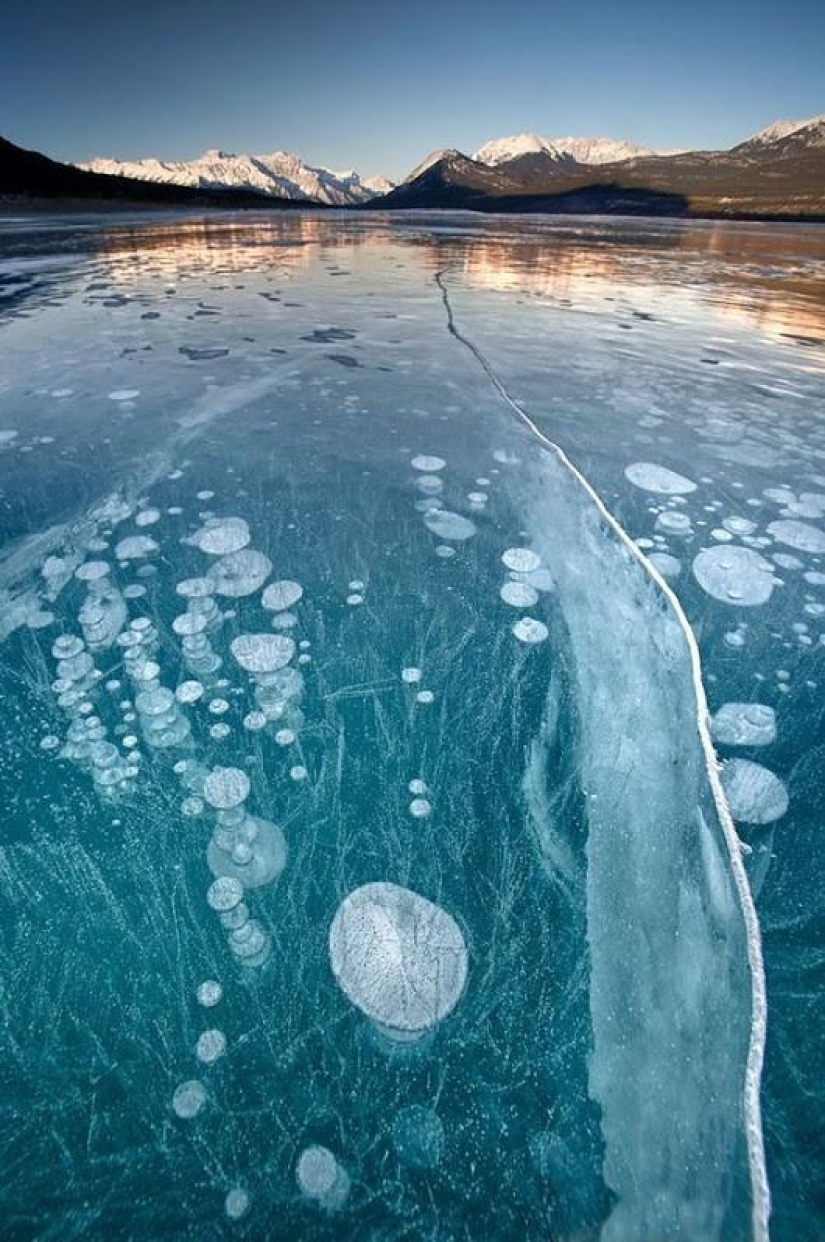Frozen air bubbles in the lake