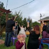 Funny emotions of children at weddings