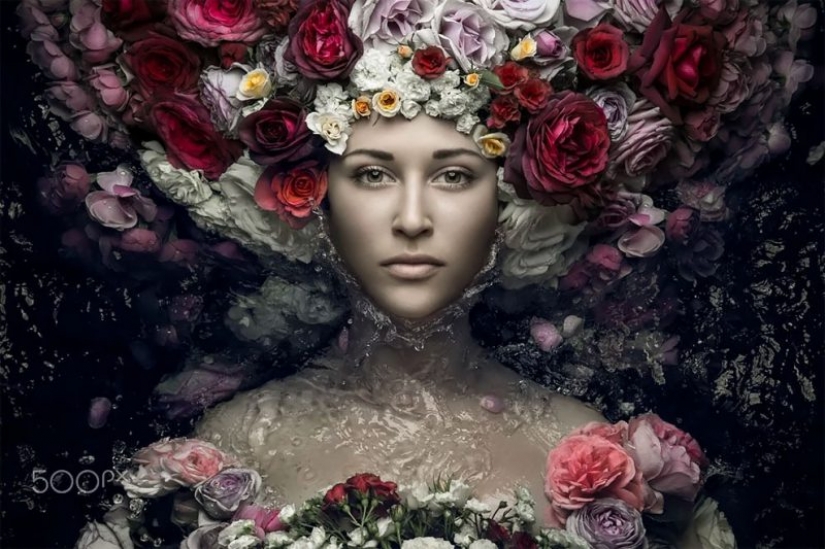 Garden beauty: conceptual flower portraits Evgeny Kolesnik Garden beauty: conceptual flower portraits Evgeny Kolesnik