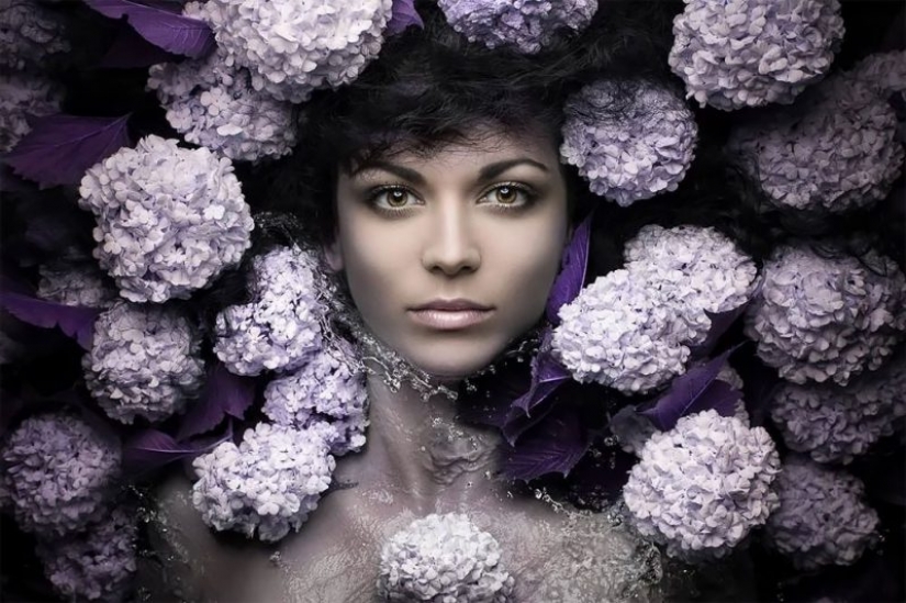 Garden beauty: conceptual flower portraits Evgeny Kolesnik Garden beauty: conceptual flower portraits Evgeny Kolesnik