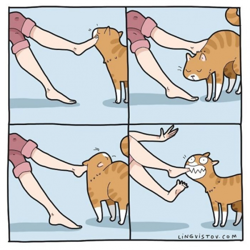 Gato comics Lingvistov, o Cómo Lirio del Valle Akhmetzyanova se convirtió en un ilustrador Gato comics Lingvistov, o Cómo Lirio del Valle Akhmetzyanova se convirtió en un ilustrador