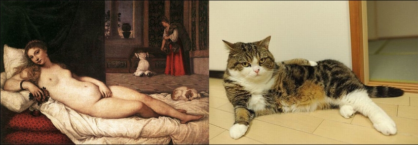 Gatos y arte
