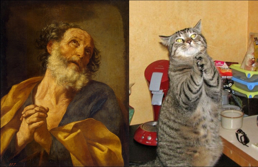 Gatos y arte