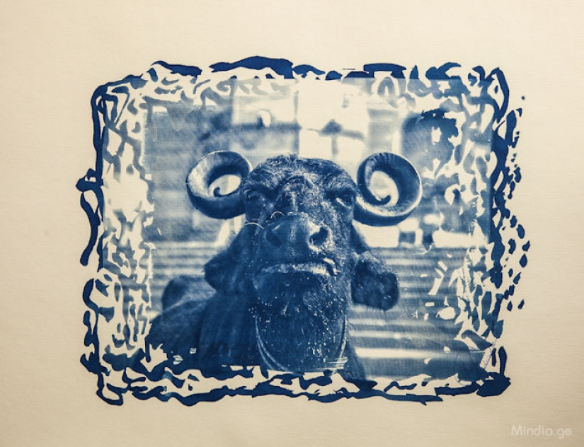 Georgian photographer uses a unique method of printing his photographs
