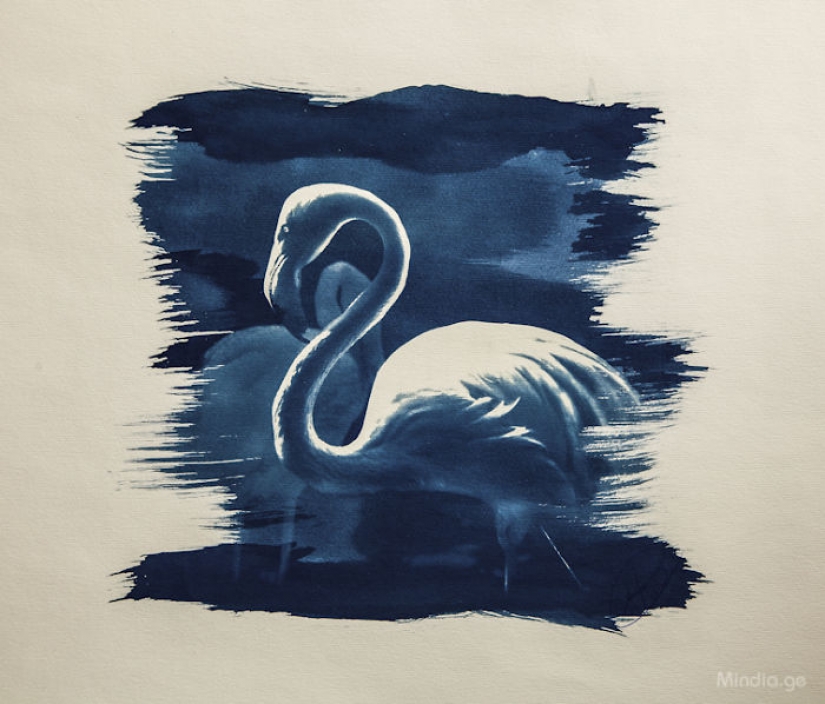 Georgian photographer uses a unique method of printing his photographs