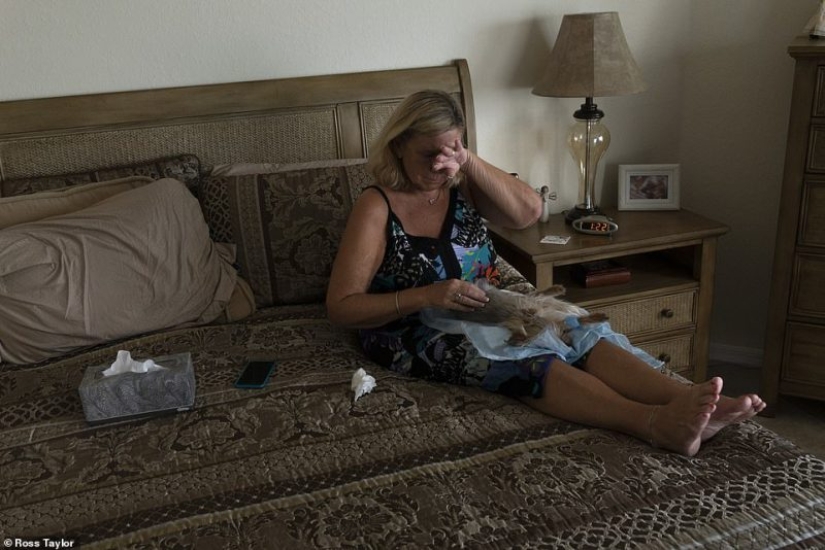 Give me a paw goodbye: lágrimas de despedida sobre mascotas moribundas