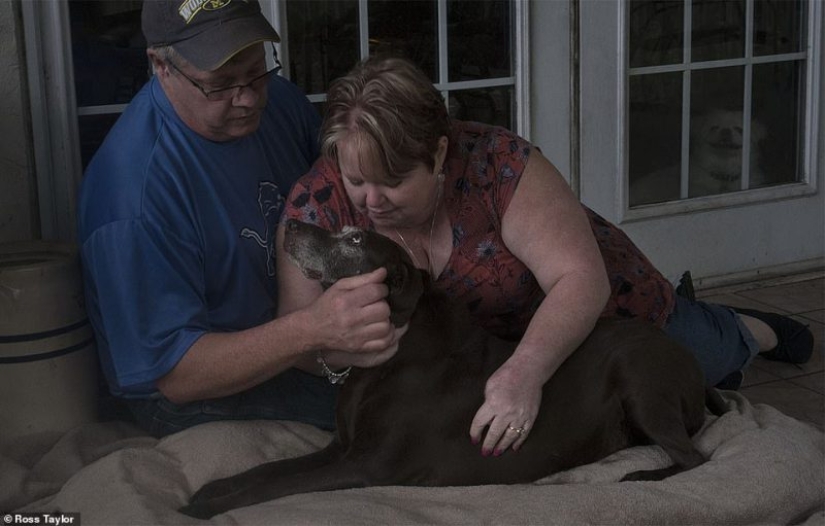 Give me a paw goodbye: lágrimas de despedida sobre mascotas moribundas