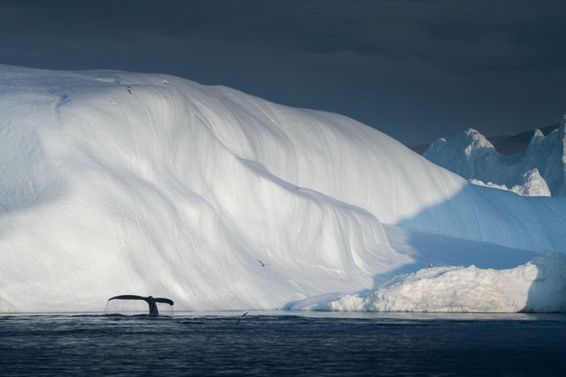 Glaciers and silence: The vanishing beauty of Greenland through the lens of Albert Dros