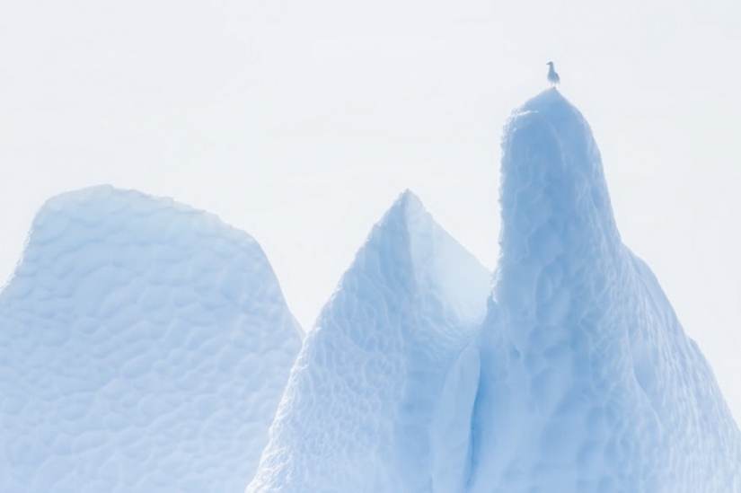 Glaciers and silence: The vanishing beauty of Greenland through the lens of Albert Dros
