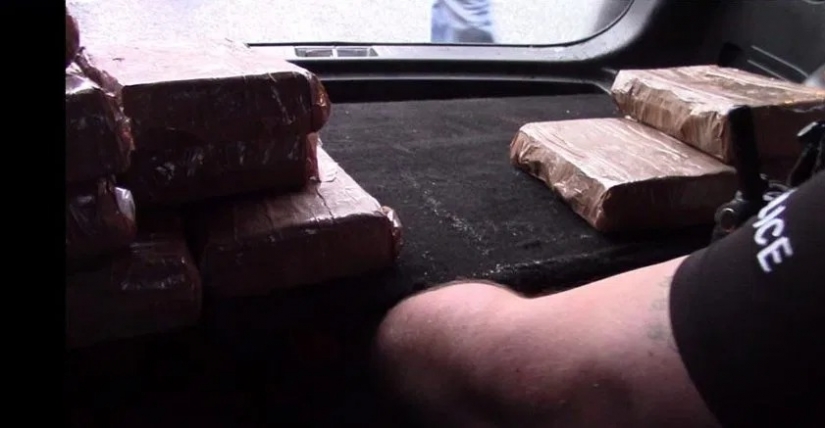 Got off easy: a blogger who was caught with 15 kg of cocaine paid a fine of 4 thousand rubles