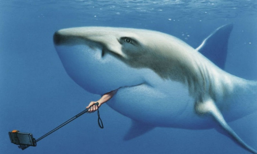 Hacia dónde va nuestro mundo: un caricaturista expone los problemas de la sociedad en ilustraciones demasiado honestas Hacia dónde va nuestro mundo: un caricaturista expone los problemas de la sociedad en ilustraciones demasiado honestas