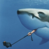 Hacia dónde va nuestro mundo: un caricaturista expone los problemas de la sociedad en ilustraciones demasiado honestas