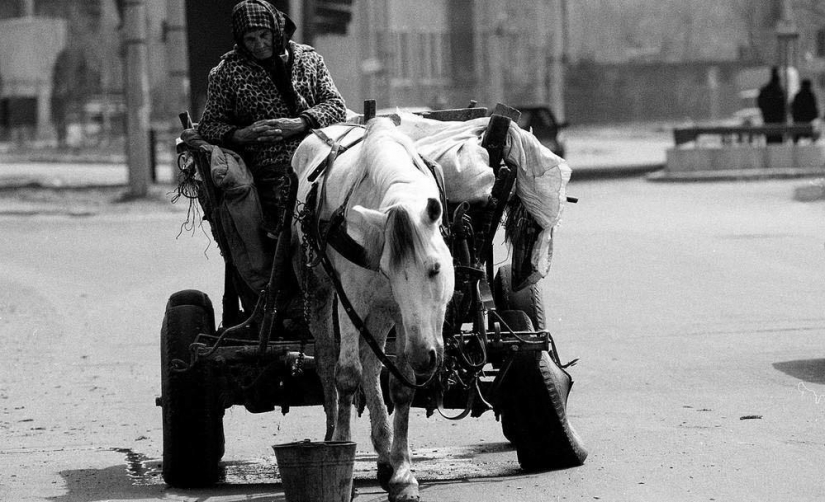 Harsh Romania of the 90s, where flocks of sheep blocked busy streets