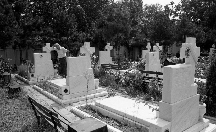 Harsh Romania of the 90s, where flocks of sheep blocked busy streets