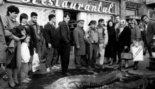 Harsh Romania of the 90s, where flocks of sheep blocked busy streets