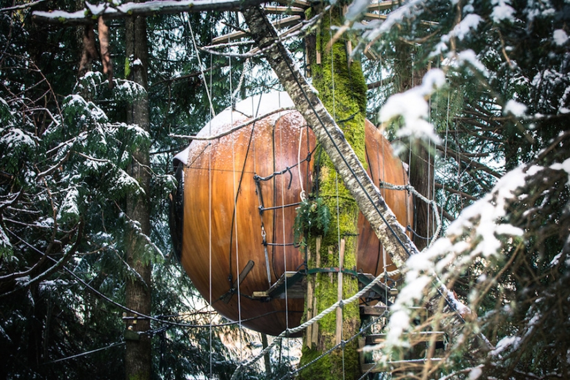 Hotel canadiense para aquellos que no han dejado de soñar con una casa en un árbol Hotel canadiense para aquellos que no han dejado de soñar con una casa en un árbol