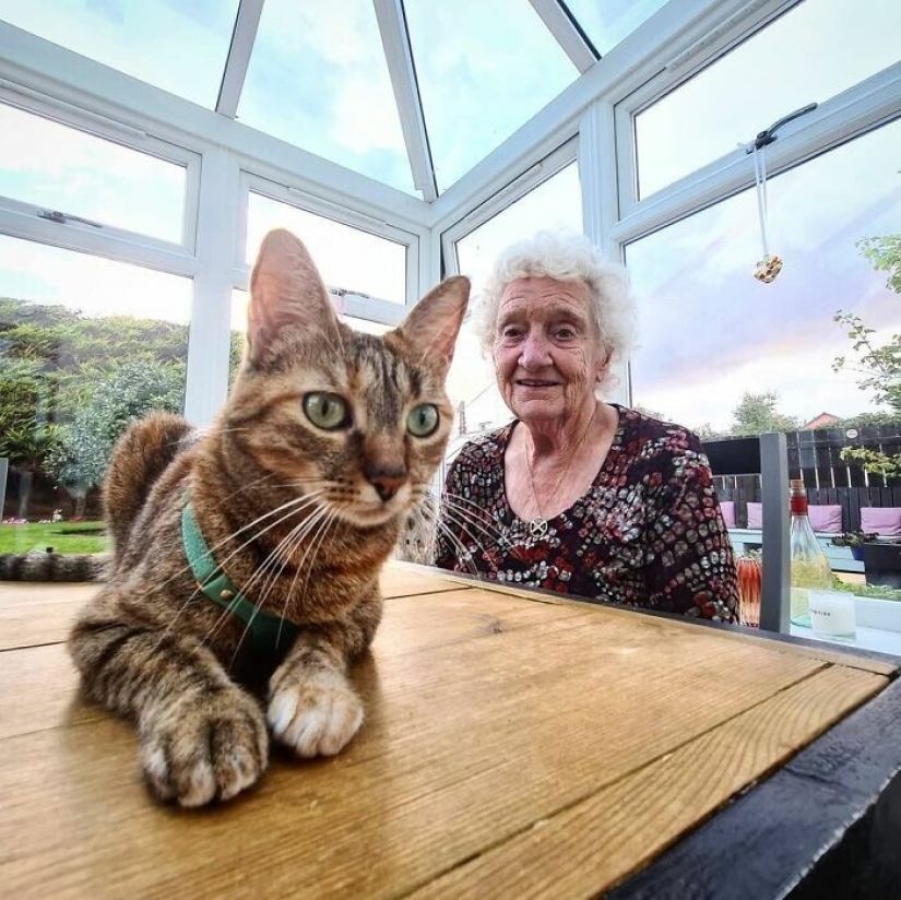 How a cat and her man circumnavigate the world on a bike