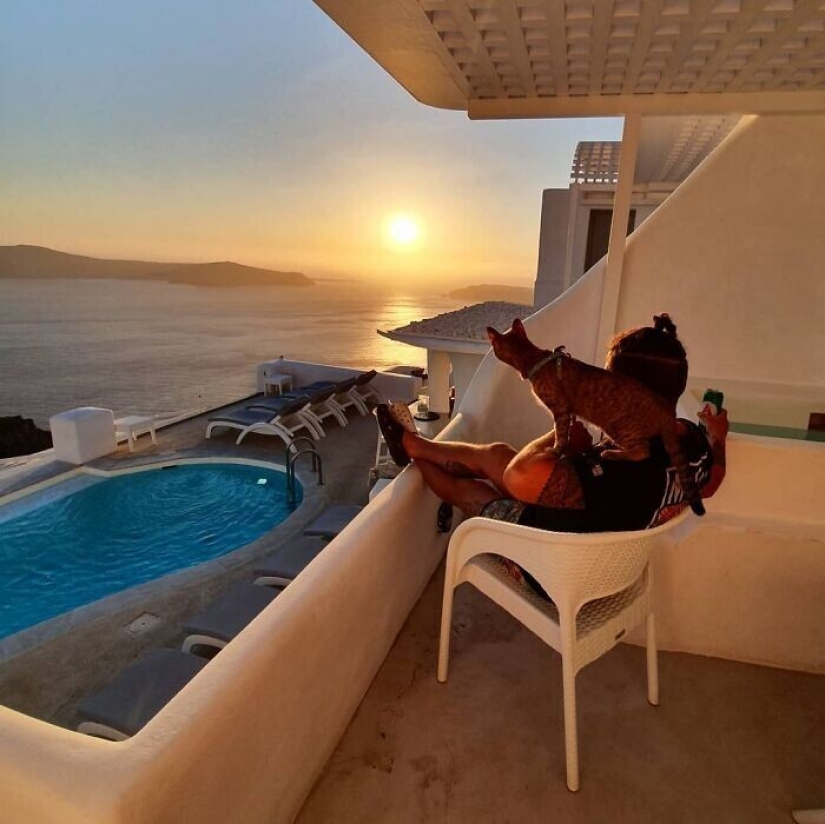 How a cat and her man circumnavigate the world on a bike