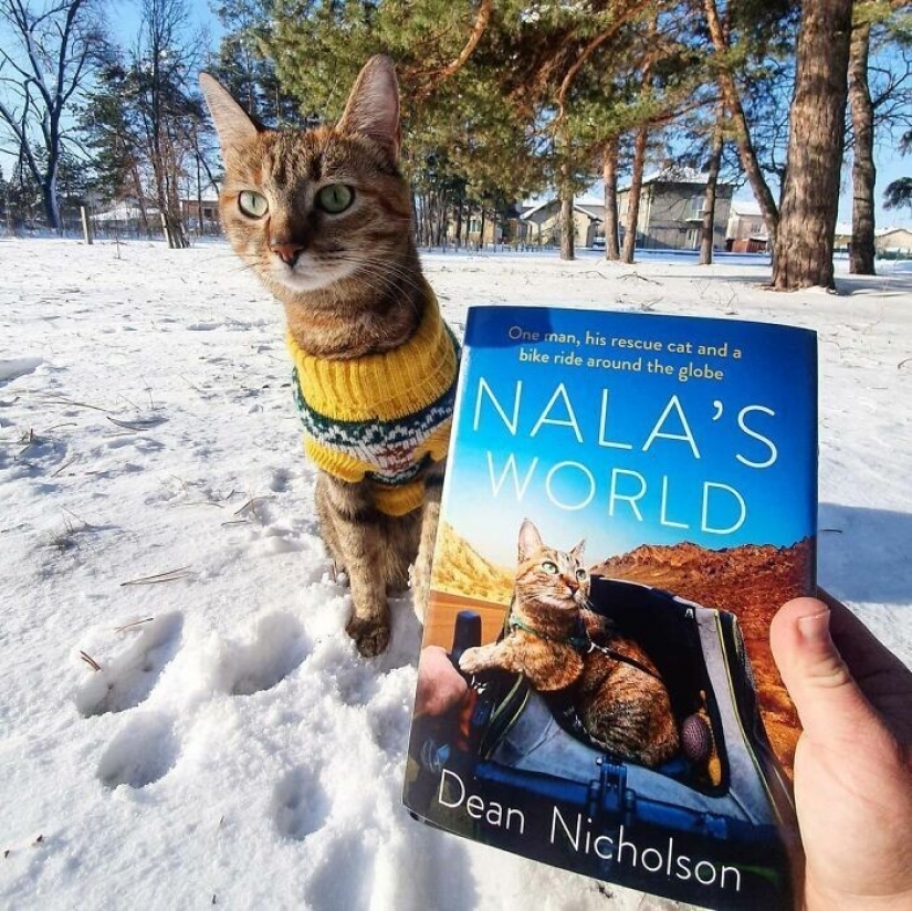 How a cat and her man circumnavigate the world on a bike