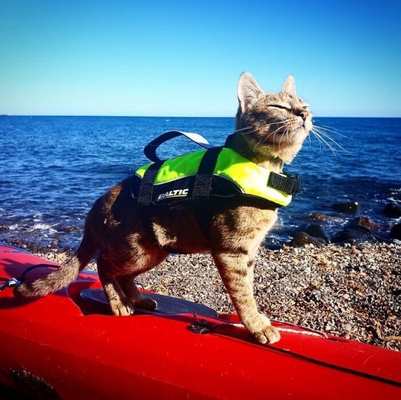 How a cat and her man circumnavigate the world on a bike