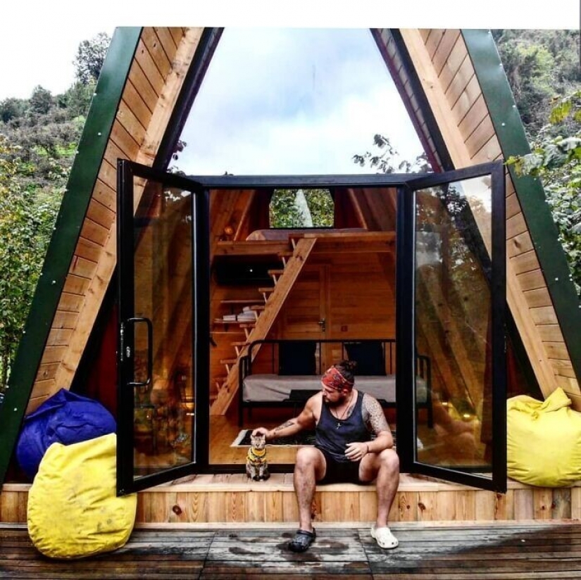 How a cat and her man circumnavigate the world on a bike