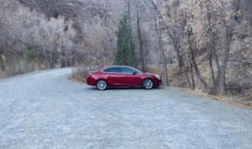 How a lost American woman survived for six months in the mountains, eating grass and moss How a lost American woman survived for six months in the mountains, eating grass and moss