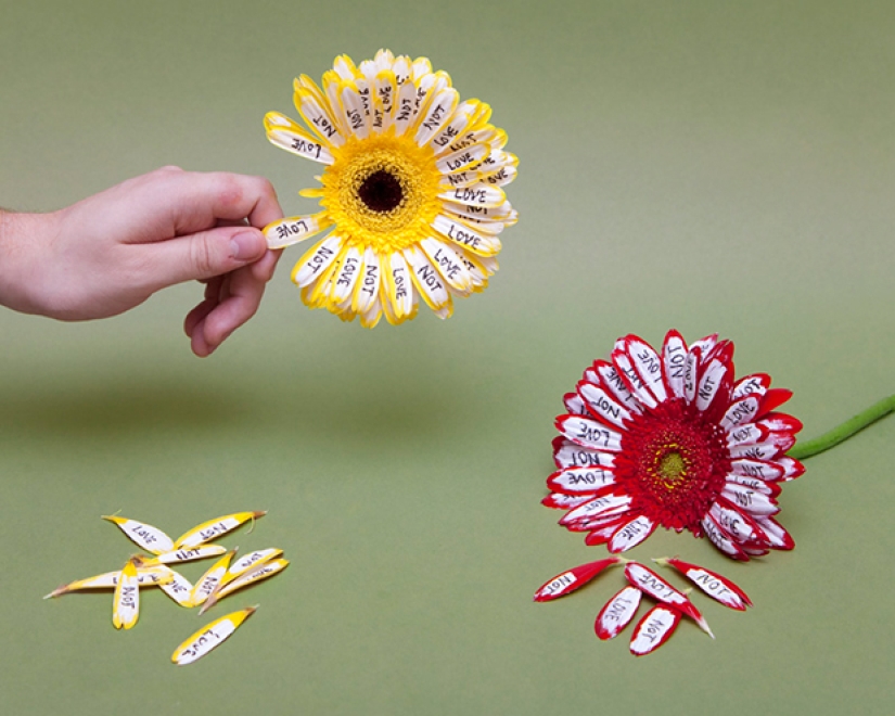 How it's done: Photographer sneers at silly instructions