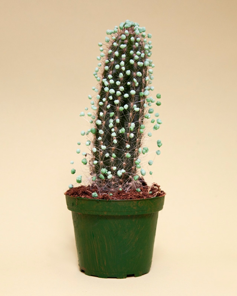 How it's done: Photographer sneers at silly instructions