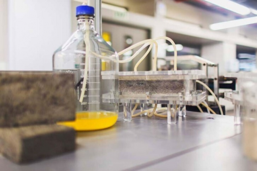 How South African students make bricks out of urine